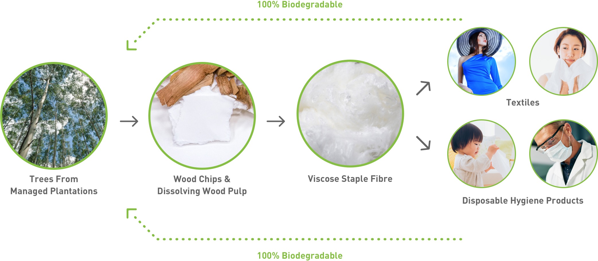 Viscose Rayon Manufacturing Process – 100% Biodegradable